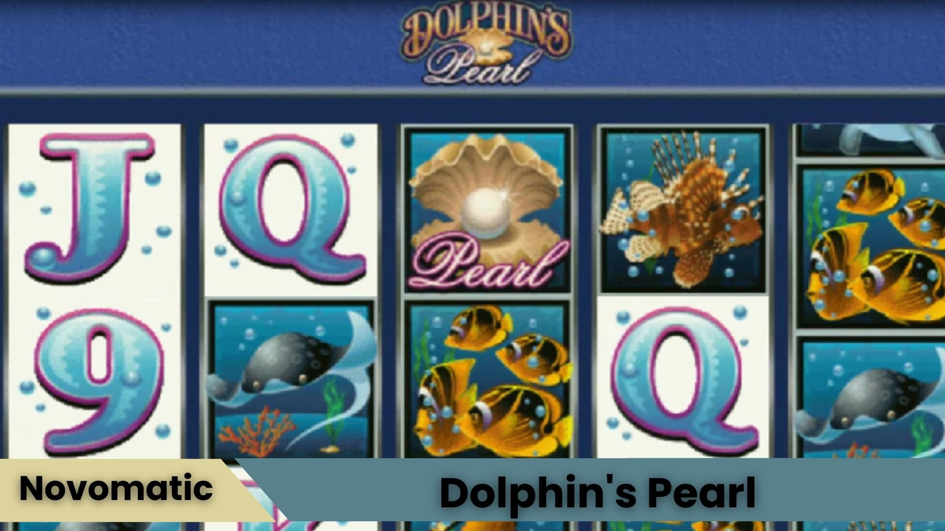Dolphin’s Pearl Slot Oyunu Yüksek RTP Avantajıyla