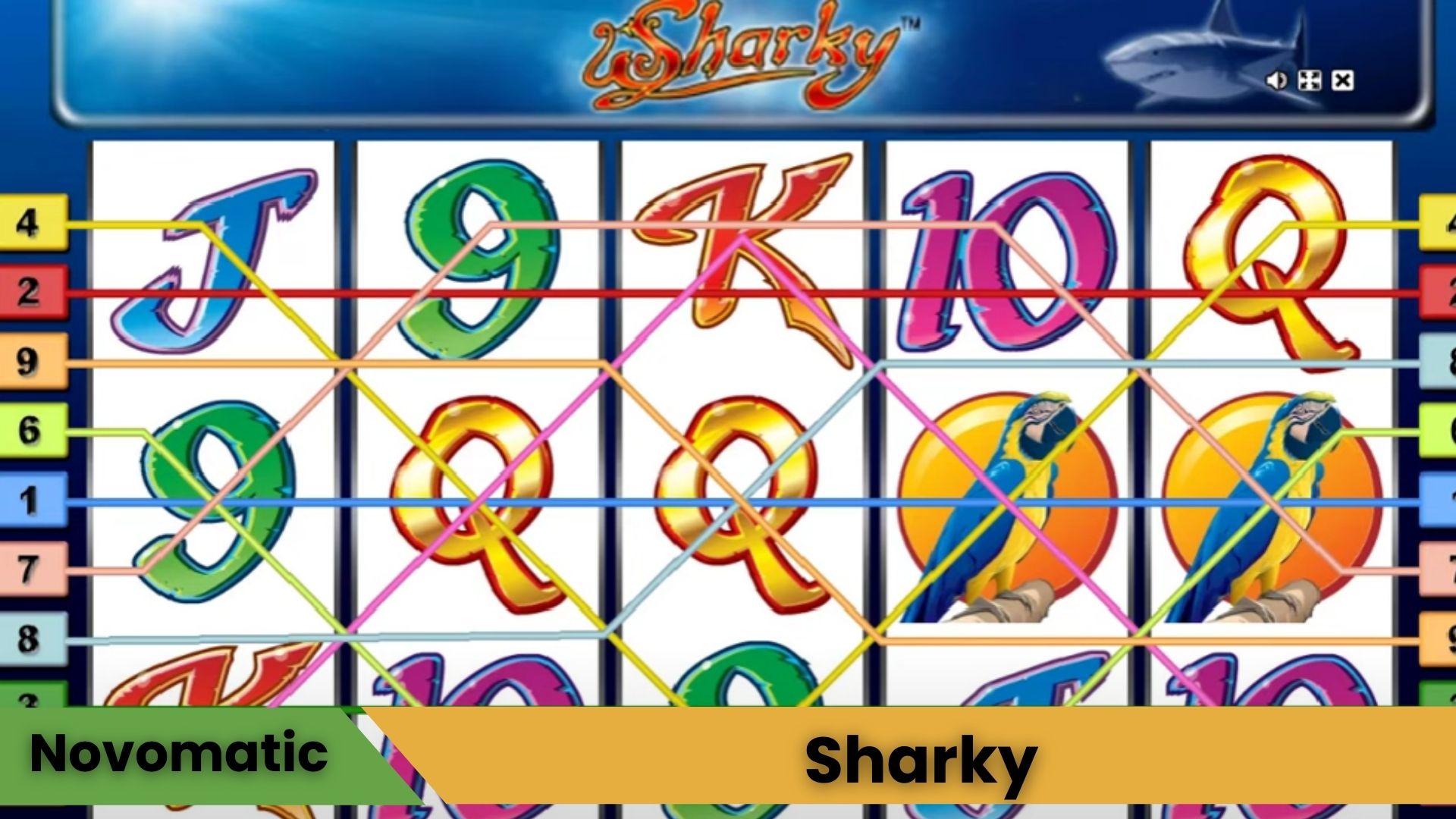 Sharky Spin Ödemeleri İle Denizlerin Coşkusu Artıyor!